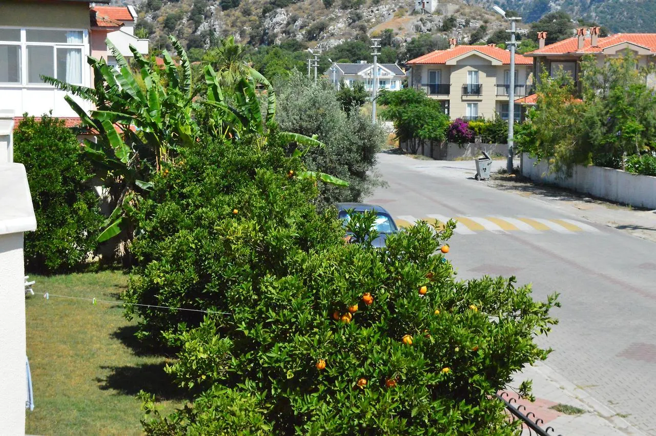 Erasmus Apart Hotel Дальян 0*,  Турция